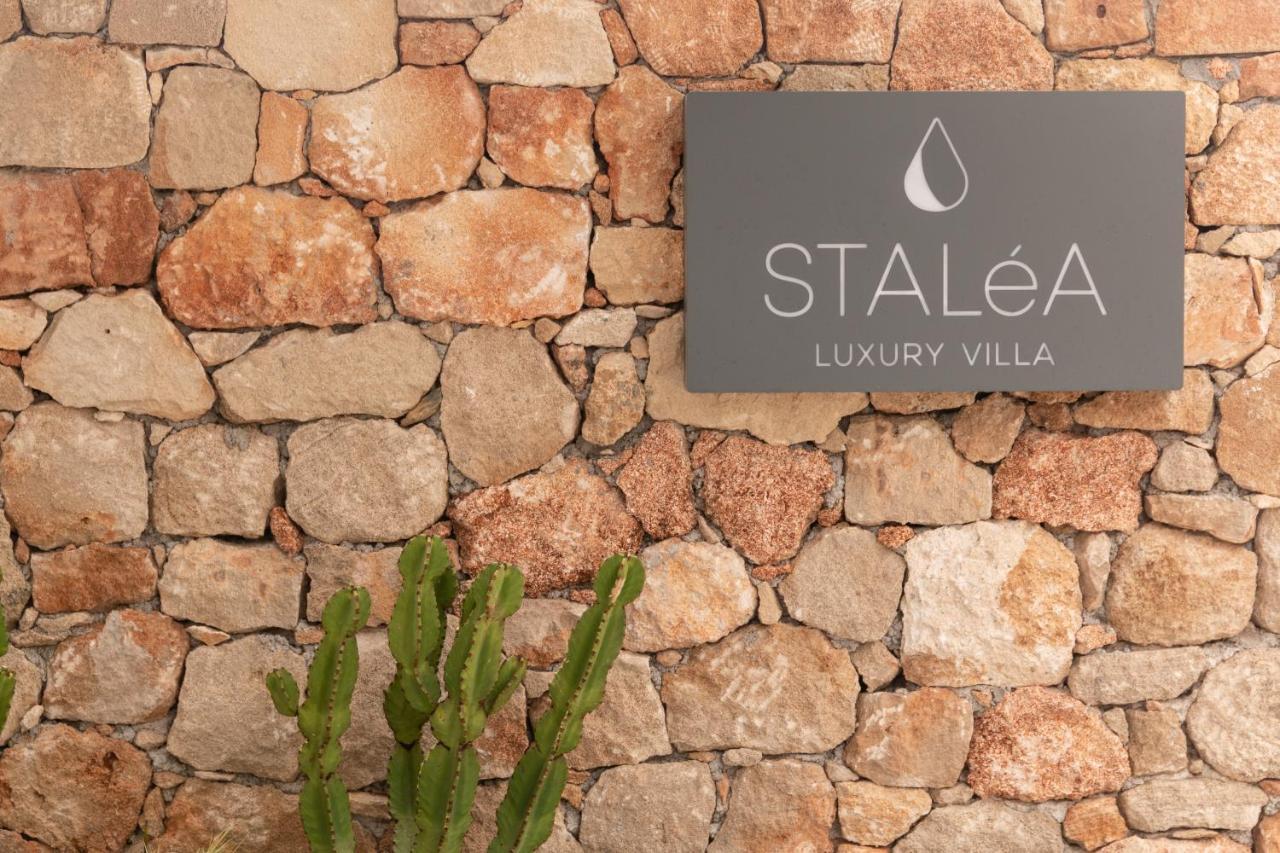 Stalea Luxury Villa Pefki Kültér fotó